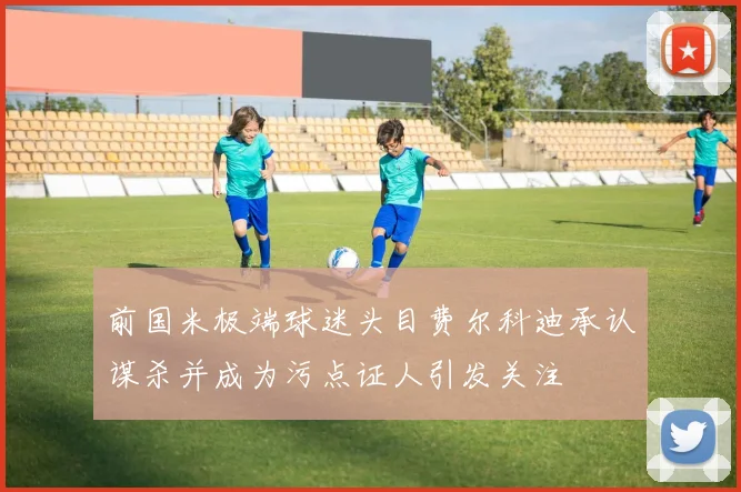 前国米极端球迷头目费尔科迪承认谋杀并成为污点证人引发关注